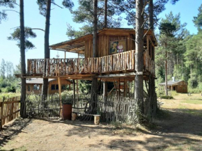 Elulõng Camping